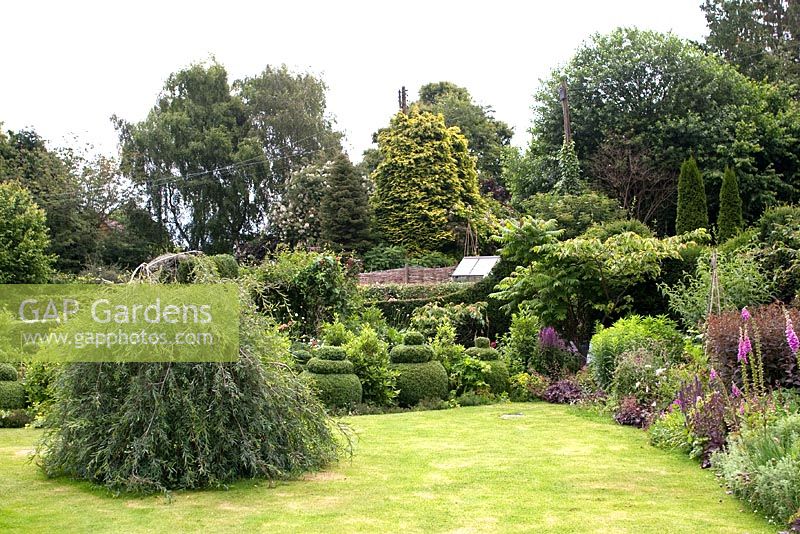 Lawn and borders. Plants include Rhus - Sumac and Digitalis. Mill Dene Garden, June