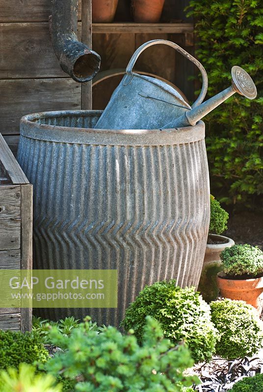 Galvanised watering can and water butt