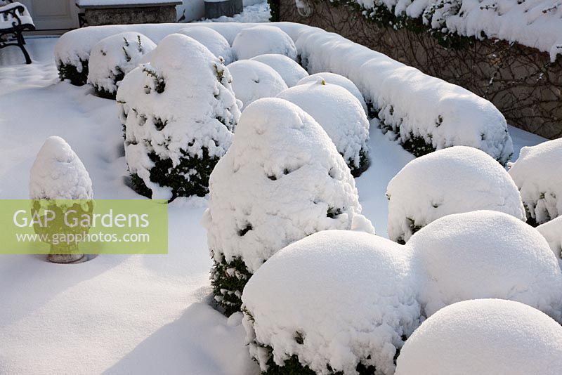 Topiary covered in heavy snow