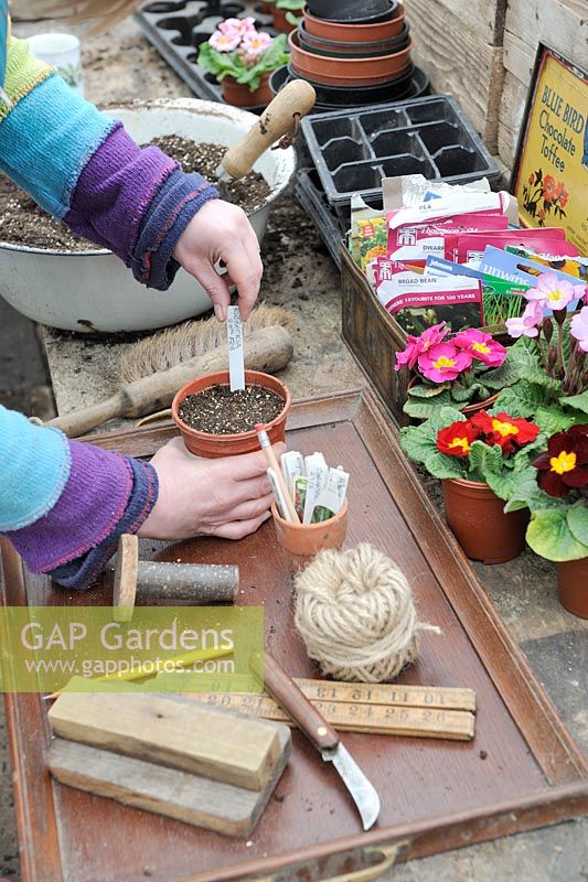 Woman putting seed label into pot on the potting bench in early spring, February