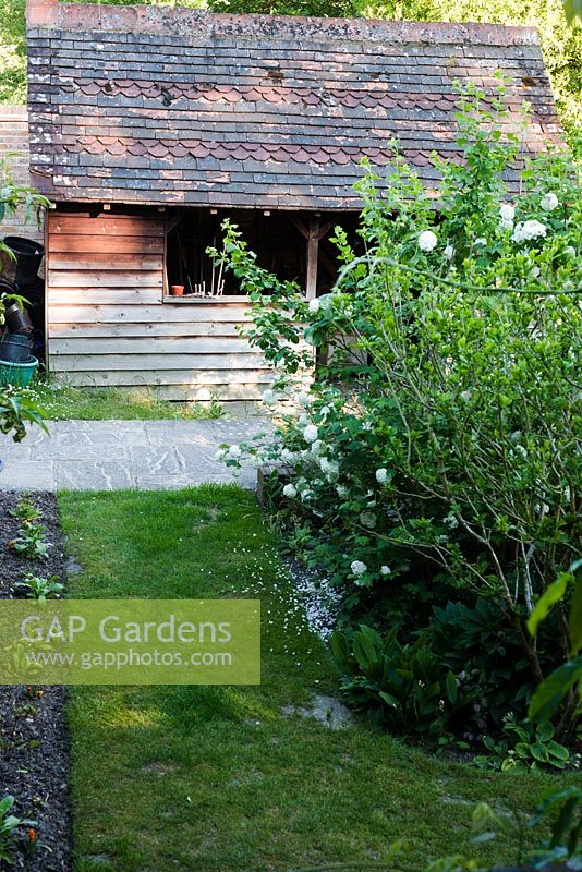 Wooden outhouse with tiled roof in early summer garden. Ham Cottage, Sussex