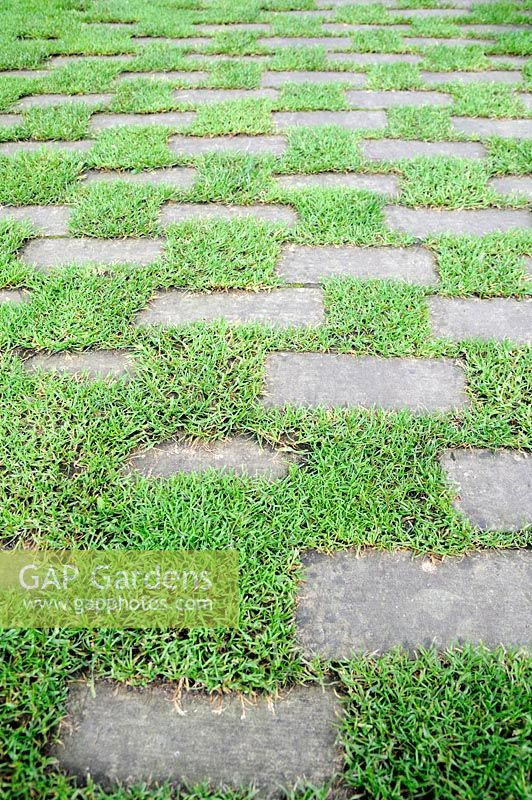 Paving stones with grass