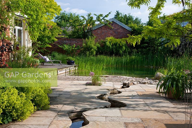 Natural swimming pool with pebble beach zone and a meandering canal leads through a flagstone paving towards the water. Planting includes Agapanthus, Alchemilla mollis, Allium christophii and Vitis 