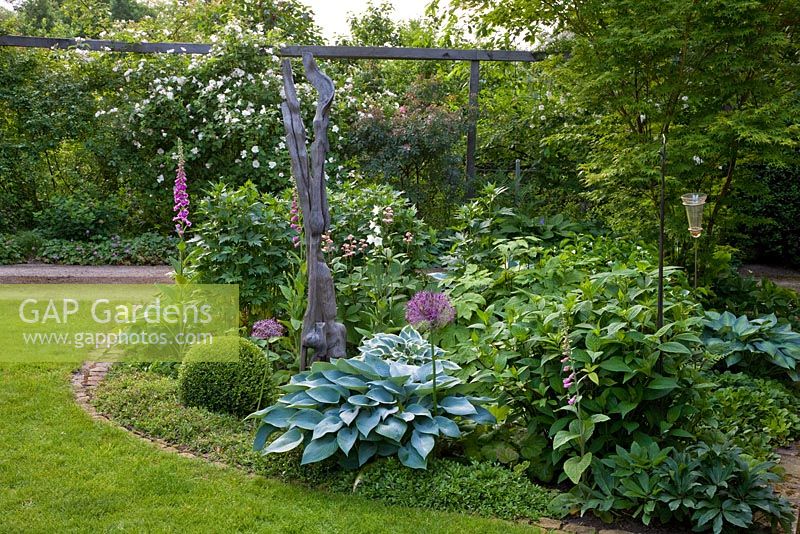 Mixed border in a shady part of a garden with carved sculpture. Planting includes Rosa 'Apfelblüte', Hosta 'Halcyon', Allium christophii, Buxus, Digitalis purpurea, Rodgersia and Rosa glauca 
