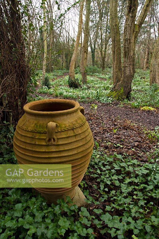 A greek urn in the woodland garden - Pembury House Gardens, Sussex 
