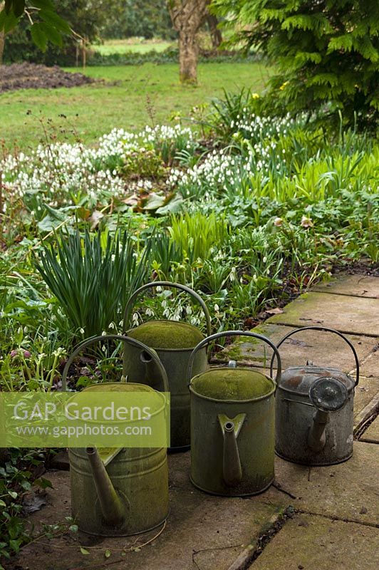 Old watering cans - Pembury House Gardens, Sussex