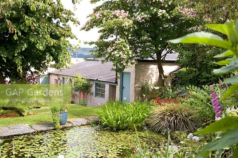 View of pond at Seafield Garden, Hunter's Quay, Western Scotland. Owner - Scoular Anderson