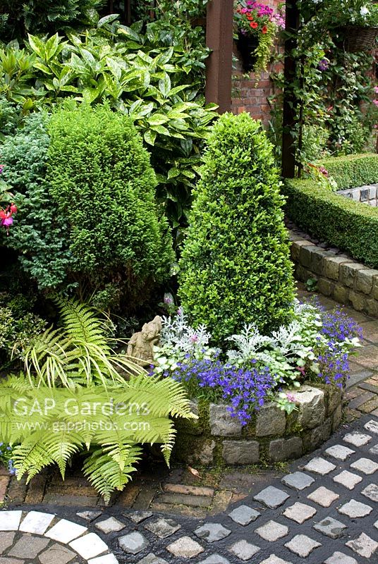 Decorative path and wall made of  reclaimed cobbles and bricks, mixed late summer bed with Conifers, ferns, Buxus, Aucuba, Lobelia and Cineraria -  Brocklebank Road, Southport, Lancashire NGS 
