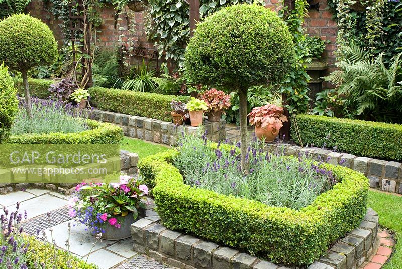Secluded parterre garden with paths and walls made of small reclaimed cobbles, station platform tiles and bricks, parterre with Buxus sempervirens - Box hedges, Lavandula angustifolia 'Hidcote' and Thuja topiary standards and old red brick wall with Hedera and ferns - Brocklebank Road, Southport, Lancashire NGS 

