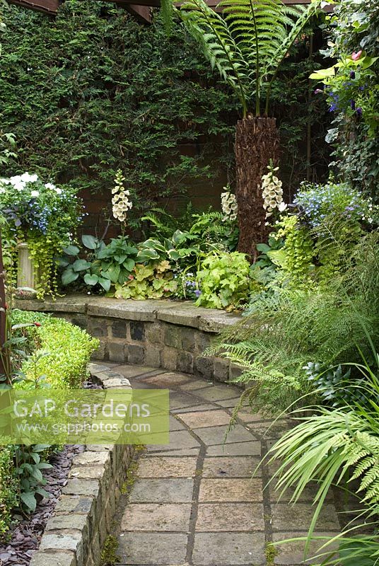 Path made from Southport paviours, wall from reclaimed cobbles and raised bed with Digitalis, Hosta, Heuchera Dryopteris filix- mas 'Linearis Polydactyla', Montbretia and Dicksonia antarctica - Brocklebank Road, Southport, Lancashire NGS 
