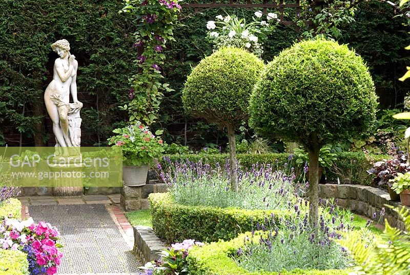 Secluded parterre garden with paths and walls made from reclaimed cobbles, station platform tiles and bricks, parterre with Buxus sempervirens - Box hedges, Lavandula angustifolia 'Hidcote' and Thuja topiary standards and classical garden statue - Brocklebank Road, Southport, Lancashire NGS 

