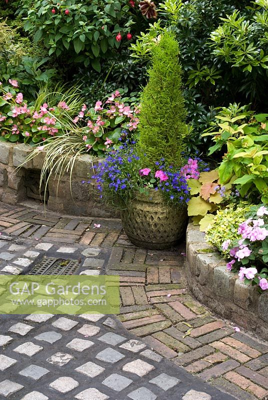 Path and wall made from reclaimed cobbles and bricks with classical container and mixed late summer bed with standard Fuchsia, Begonia, Heuchera and Choisya - Brocklebank Road, Southport, Lancashire NGS 

