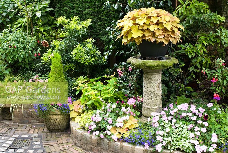 Path and wall made from reclaimed cobbles and bricks with classical container and Heuchera 'Creme Brulee' and mixed late summer raised bed with conifers, standard Fuchsia, Lobelia, Impatiens, Begonia, Heuchera and Choisya - Brocklebank Road, Southport, Lancashire NGS 
