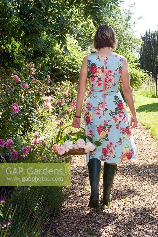 Woman in floral dress walking in country garden with wooden trug of roses