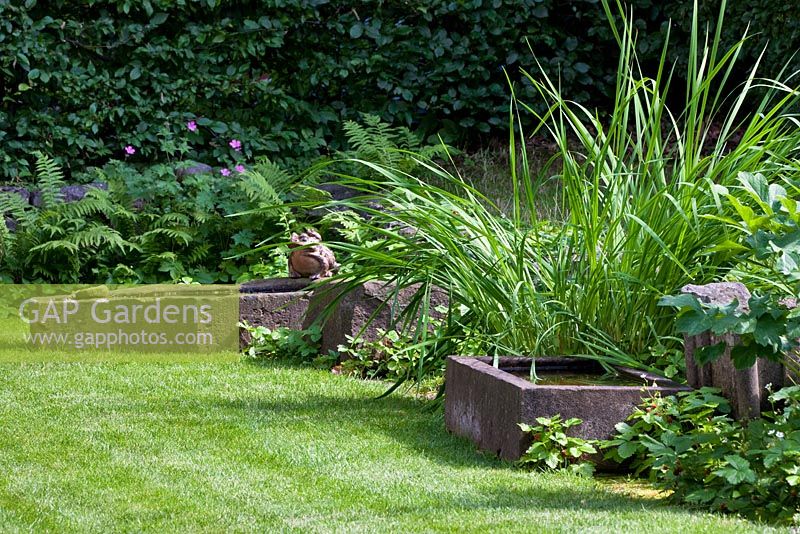 Iris leaves arch over a collection of stone water basins with a stone frog ornament. Planting includes Dryopteris, Fragaria vesca and Geranium - The Manor Garden, Germany