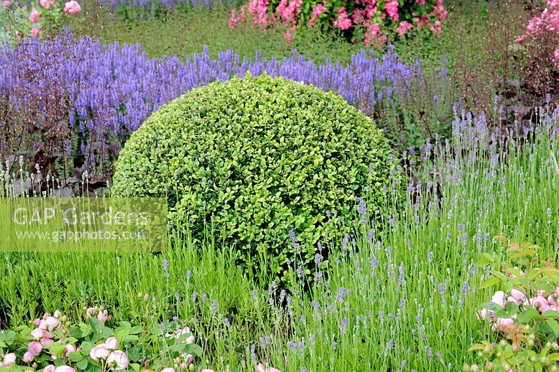 Box ball surrounded with Lavender and Sage