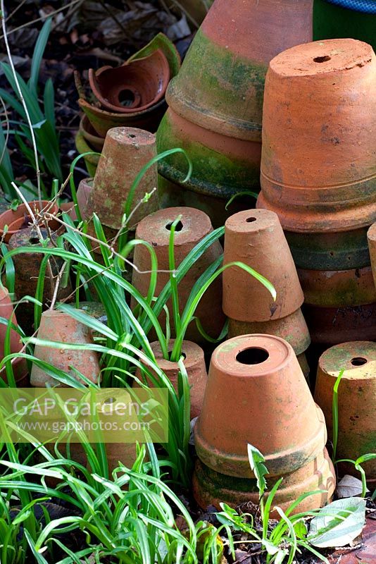 Terracotta pots - Pembury House