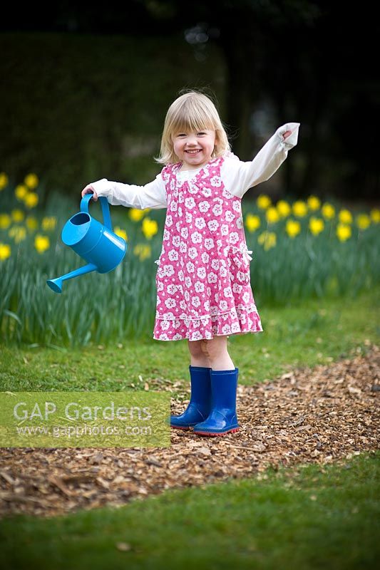 Young girl wearing a flowery dress carrying a blue watering can on a mulched path in a lawn with daffodils