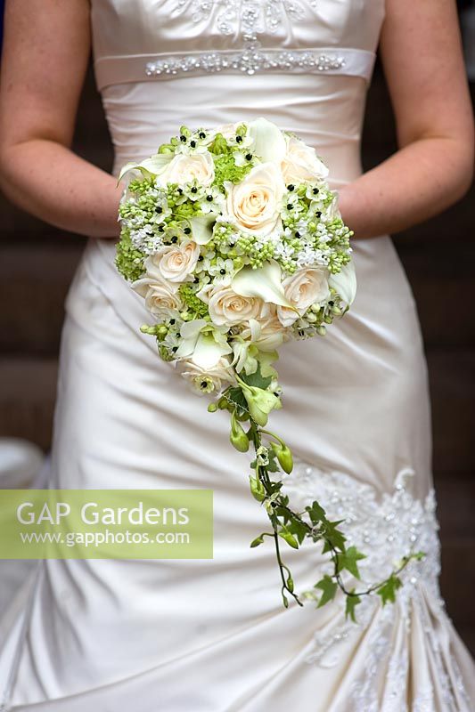 Bride holding a wedding bouquet with Roses, Ornithogalum, Ivy and Lilies