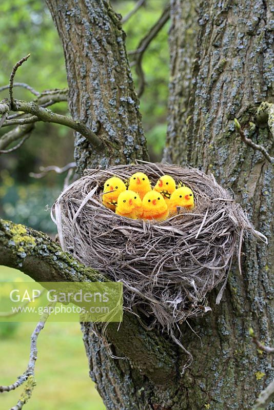 Artificial birds in nest in tree 
