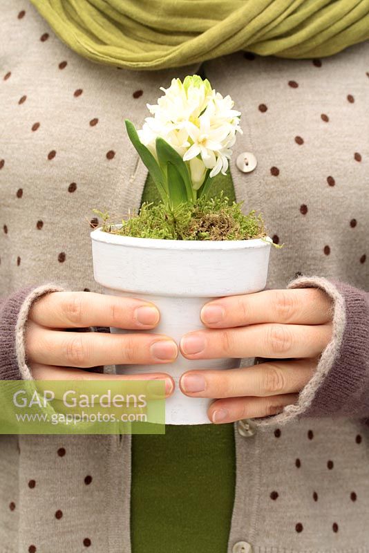Woman holding potted Hyacinthus