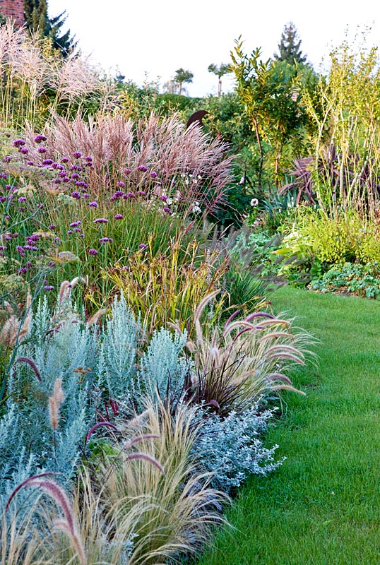 Ornamental grass border where grasses in different sizes are perfectly combined with Artemisia ludoviciana 'Silver Queen', Carex grayi, Helichrysum petiolare, Miscanthus sinensis, Pennisetum setaceum 'Rubrum' and Verbena bonariensis