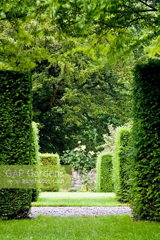Clipped hedges - Gresgarth Hall, Lancashire
