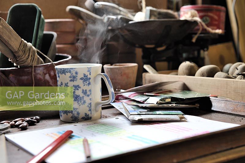 Gardeners potting shed desk, with steaming coffee mug, garden tools and items, Norfolk, UK, March