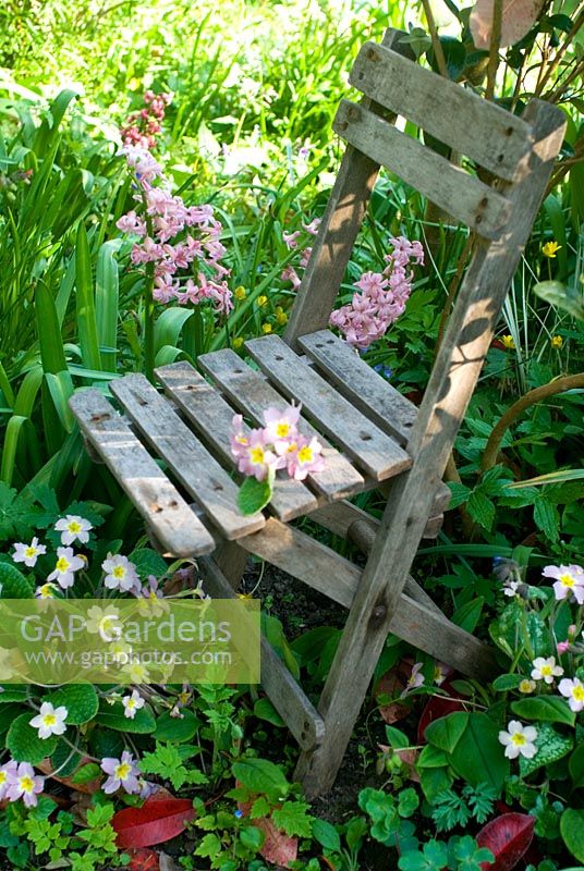 Child's garden seat in polyanthus bed