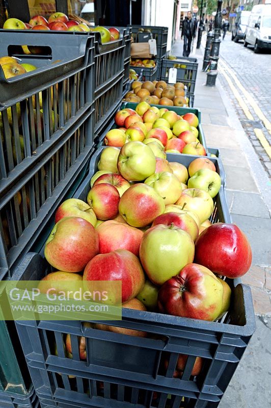 Heritage Apples, variety unknown, for sale in an urban street Covent Garden London UK