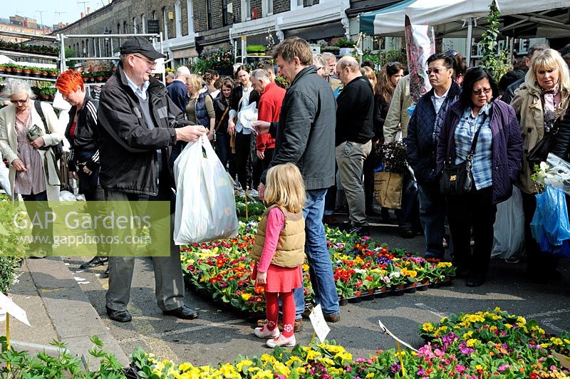 Man with little girl buying colourful Primula - Primrose in Columbia Road Flower Market, Tower Hamlets East London UK