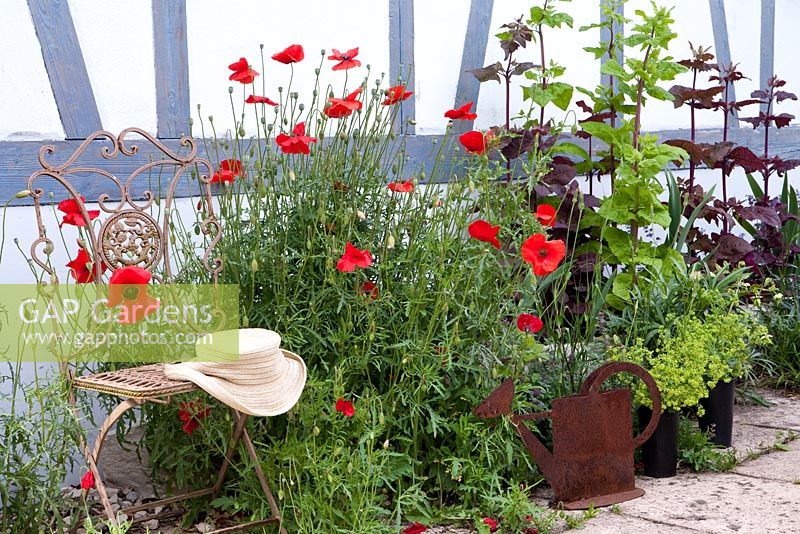 Metal chair with straw hat in front of a half timbered barn, Papaver rhoeas, Atriplex hortensis