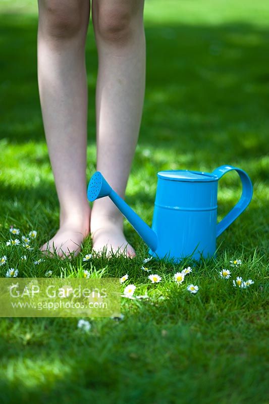 Girl standing barefoot on a sun dappled lawn with a blue watering can and daisies. 
