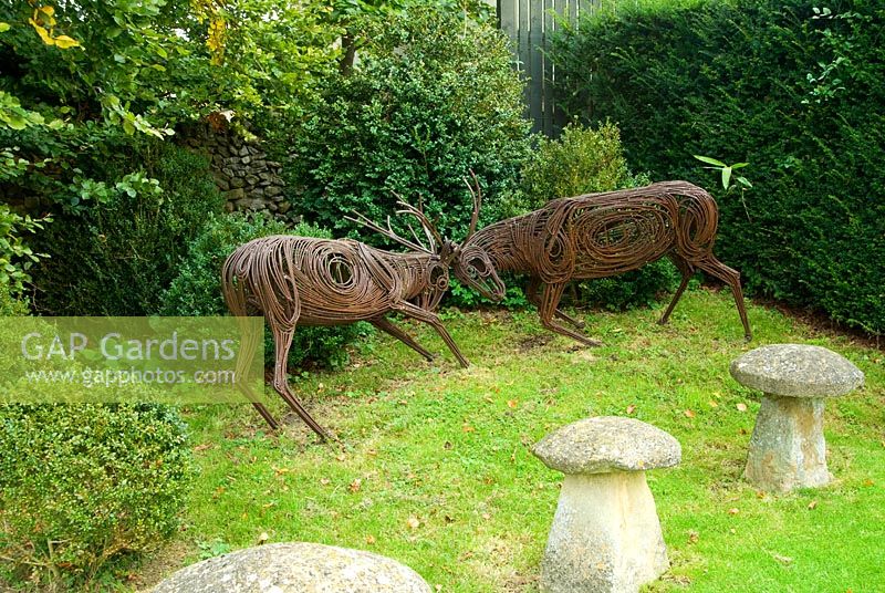 Rutting Stags by Sophie Thompson. Bourton House, Bourton-on-the-Hill, Moreton-in-Marsh, Glos, UK
