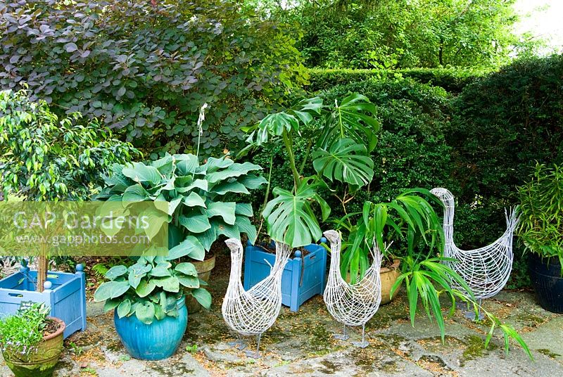 Decorative wire birds amongst pots of foliage plants including Hostas, Monstera deliciosa - Cheese plant and Ficus. Beggars Knoll, Newtown, Westbury, Wiltshire, UK