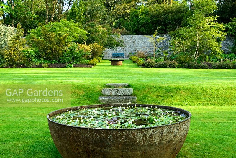 Metal 'kettles' used to smelt tin, now contain Aponogeton distachyos - Cape Pondweed or Water Hawthorn, in the Walled Garden. Trewidden, Buryas Bridge, Penzance, Cornwall, UK
