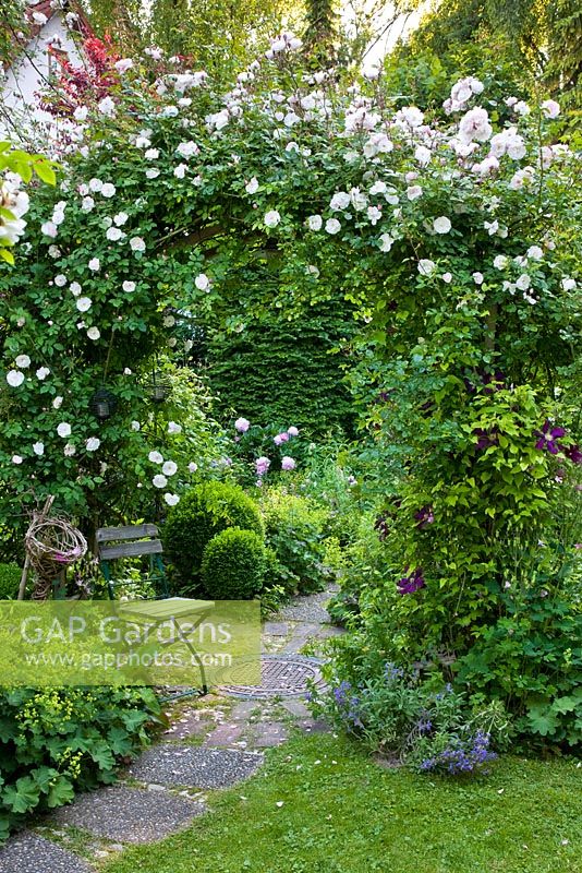 Romantic garden with Rose arch over a circular patio and wooden chair. Planting includes Rosa 'Venusta Pendula', Alchemilla mollis, Buxus and Clematis 'Warzawska Nike'
