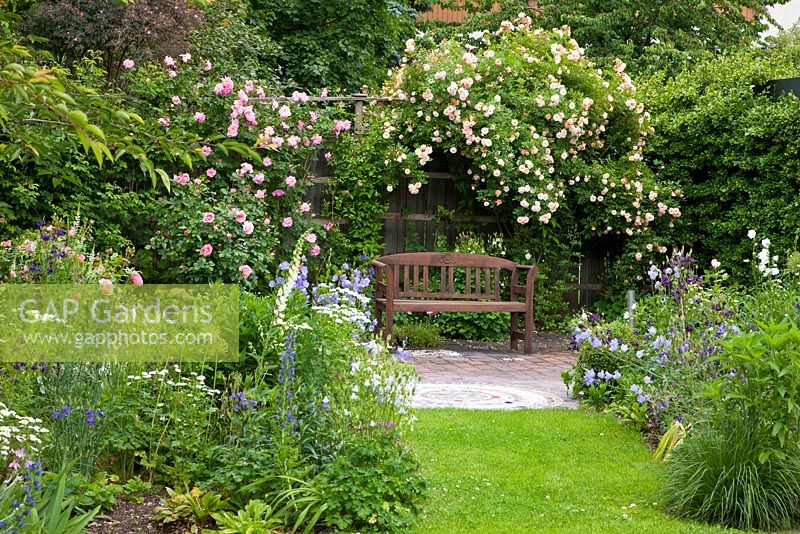 Wooden bench on paved area under a rose arbour in a romantic garden with roses and perennials - Rosa 'Ghislaine de Féligonde' and 'Rosenprofessor Sieber', Aquilegia, Campanula persicifolia, Digitalis and Matricaria