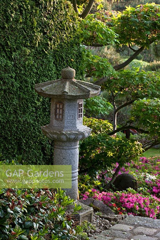 Stone lantern on a plinth in a Japanese garden - Azalea japonica, Rhododendron and Thuja