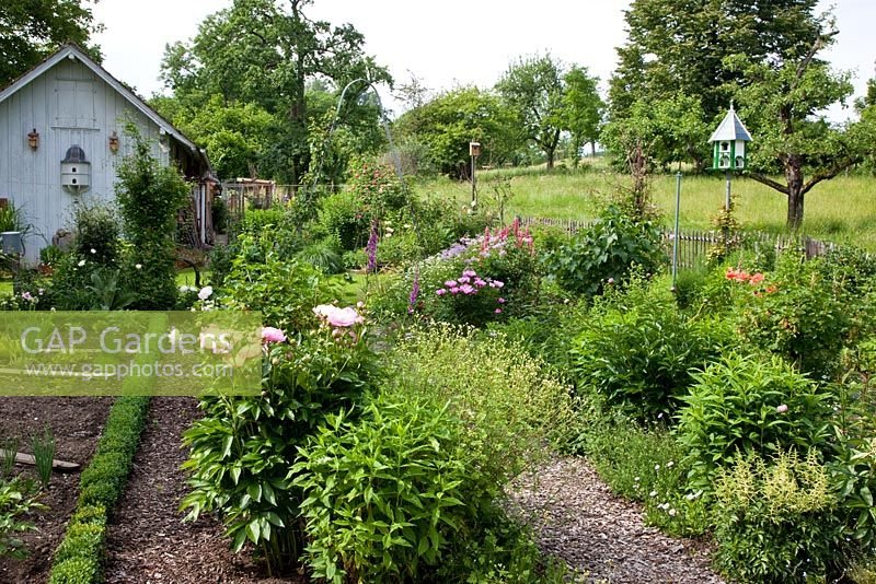 Vegetable patches are framed with clipped box, perennial borders with mulched pathway. Planting includes Astilbe, Buxus, Digitalis purpurea, Erigeron 'Mrs. Beale', Lupinus, Paeonia, Phlox paniculata, Tanacetum and Thalictrum aquilegifolium 'Album'