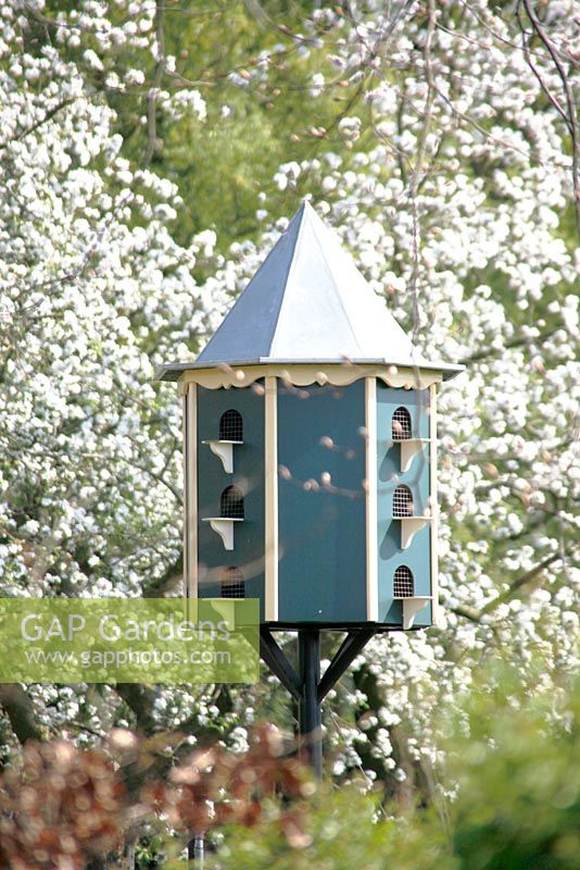 Close up of Dovecote at Bed and breakfast in Velp, Brabant, Holland