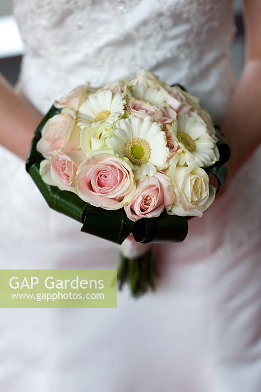 Bride holding a wedding bouquet of pink and cream roses with gerberas