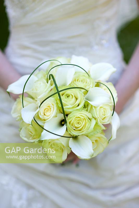 Bride holding a wedding bouquet of white  Roses and Lilies