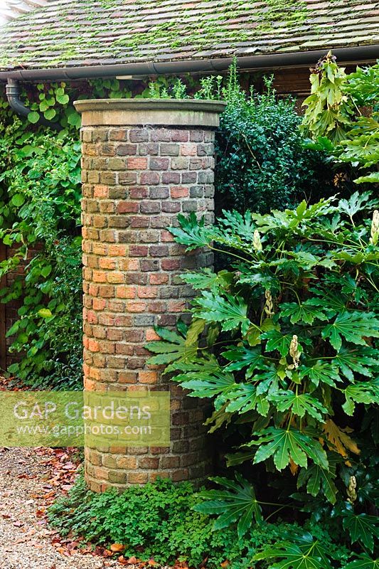 Cylindrical brick entrance pier with Fatsia japonica