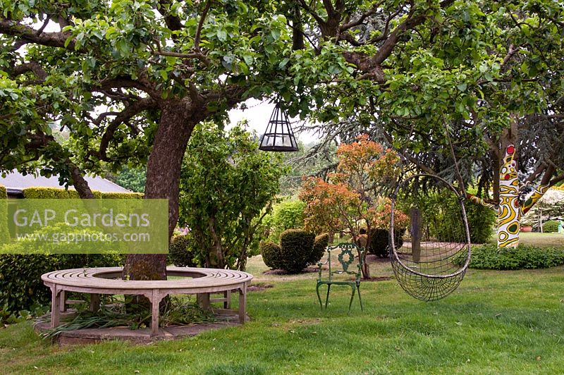 Malus - Apple tree with circular seat and swing seat underneath - Tilford Cottage, Surrey