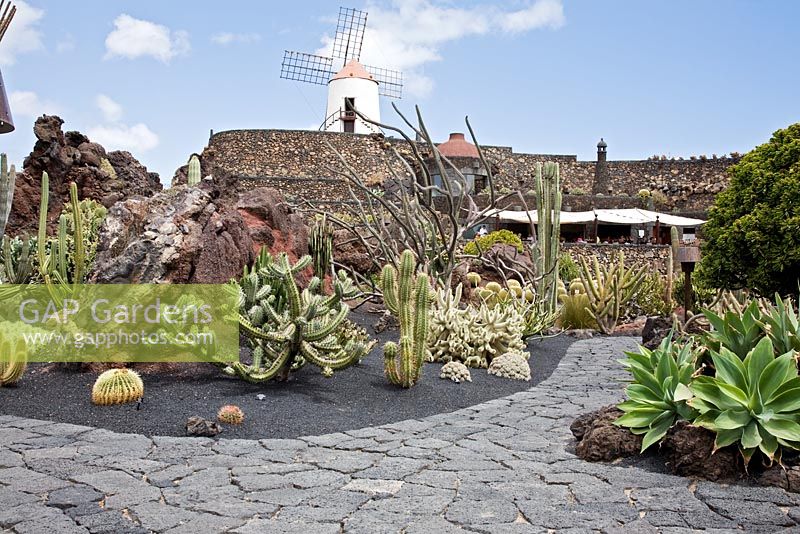 The restored windmill, with the covered restaurant below -  El Jardin de Cactus, Lanzarote, Canary Islands.