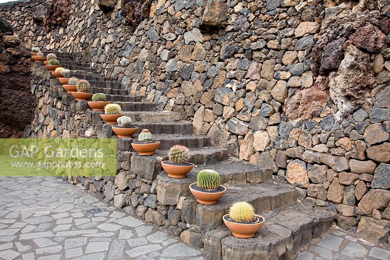 Lava stone steps, edged with clay pots planted with Cacti variety, including Ferocactus - El Jardin de Cactus, Lanzarote, Canary Islands.  