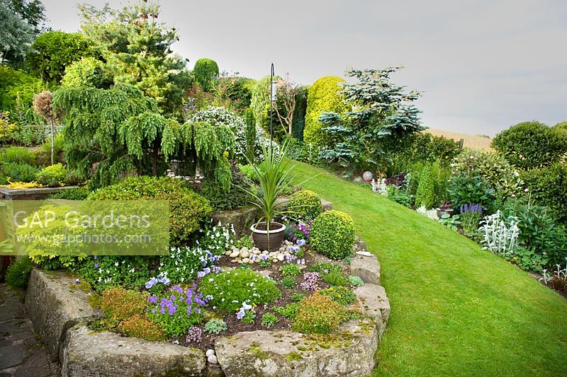 View of rockery at Hillside cottage with potted Phormiums, clipped Box, dwarf weeping Cedar, Azalea, Viola and Pansies.