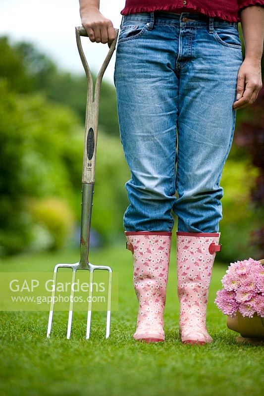 Woman wearing blue jeans and wellies holding a garden fork beside a wooden trug of pink chrysanthemum 