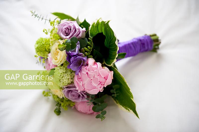 Bridal bouquet of cream and purple roses and pink peony with hosta leaves